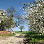 In Rotthalmuenster Mit Garten *