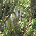 In Rotthalmuenster Mit Garten * Andriching