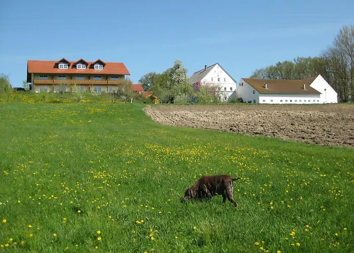 Apartmán In Rotthalmuenster Mit Garten