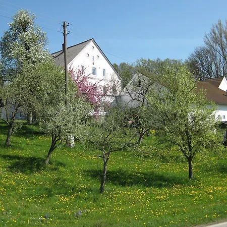 In Rotthalmuenster Mit Garten Apartamento